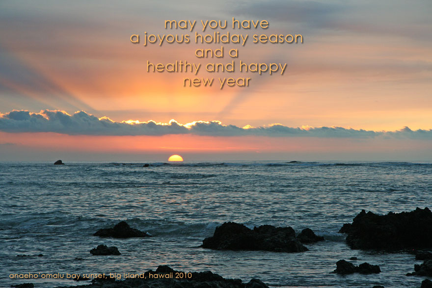 Holiday Image of Deer