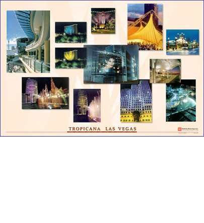 Napack Design Poster